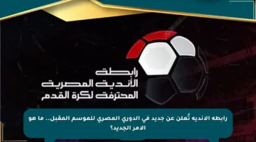 رابطة الأندية تُعلن عن جديد في الدوري المصري للموسم المقبل.. ما هو الأمر الجديد؟